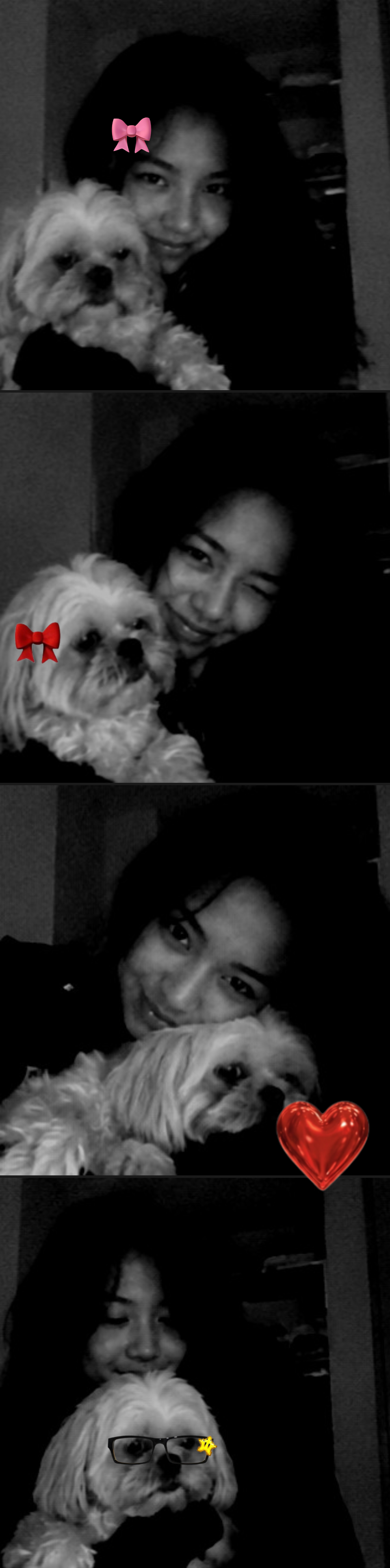 RollCD photo strip layout